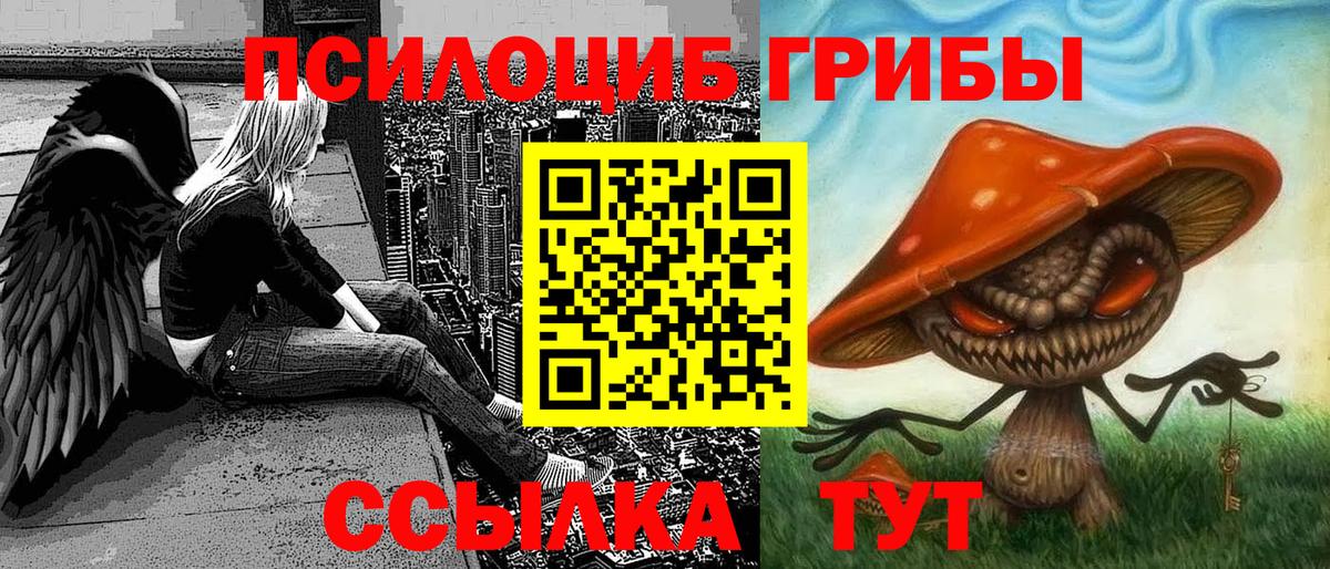 Галлюциногенные грибы Magic Shrooms  Вход с VPN  Галлюциногенные грибы Psilocybe  Домодедово 